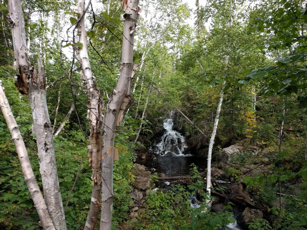 abitibi
